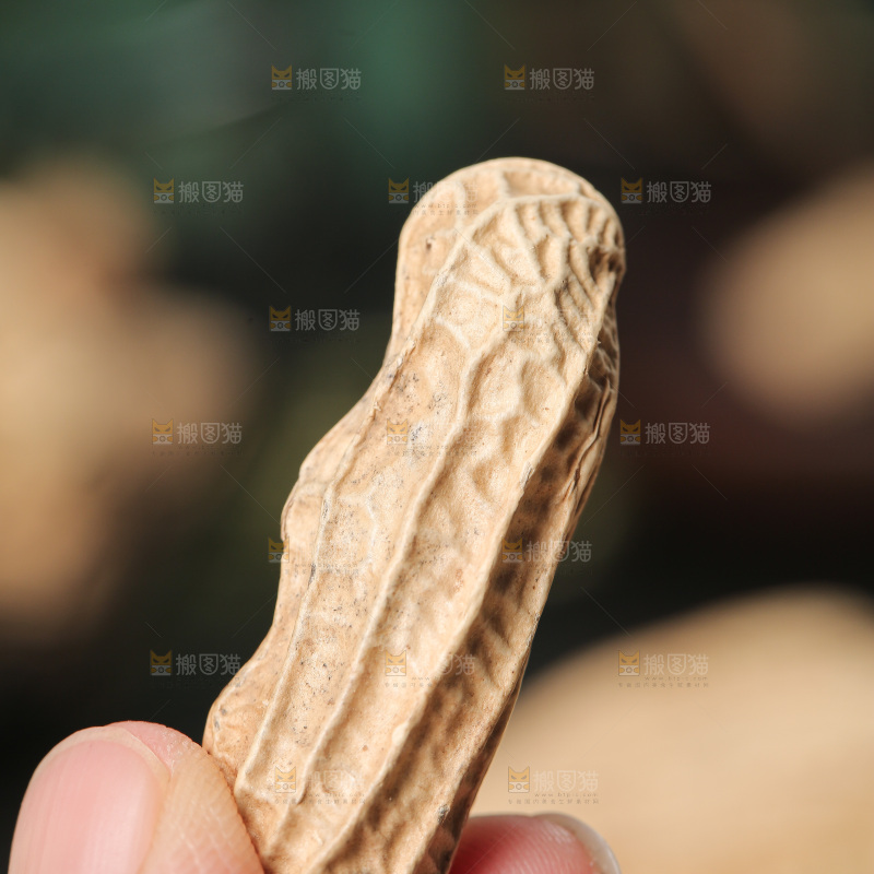 深底上的黑皮花生
