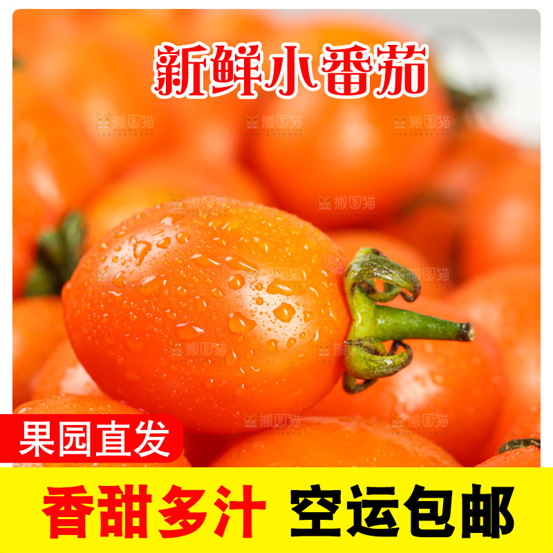 浅底上的小番茄