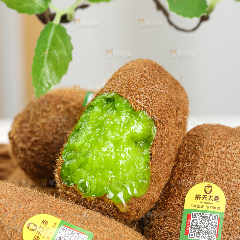 浅底上的修文猕猴桃