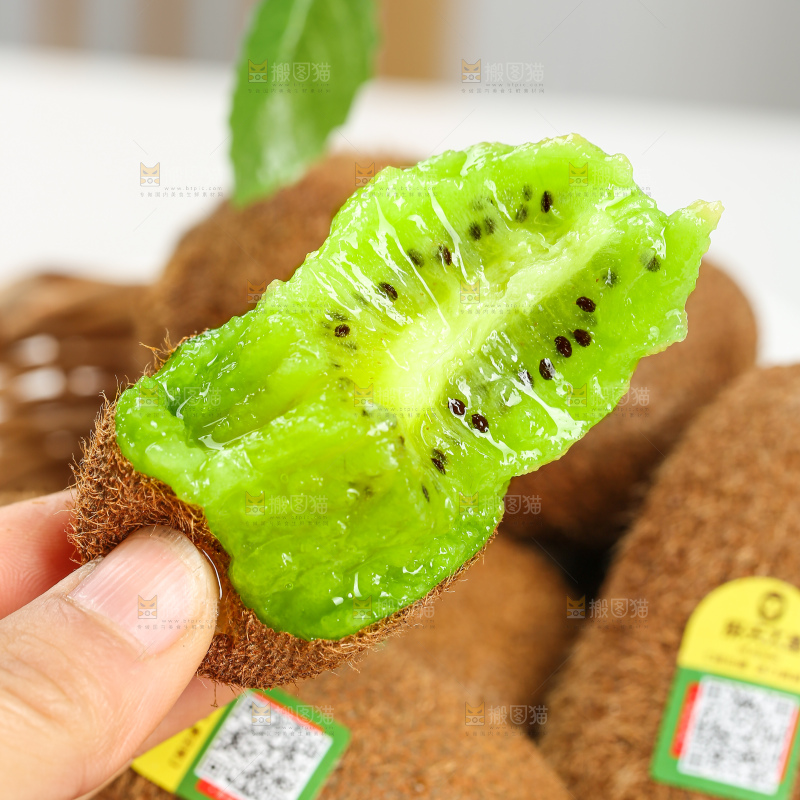 浅底上的修文猕猴桃