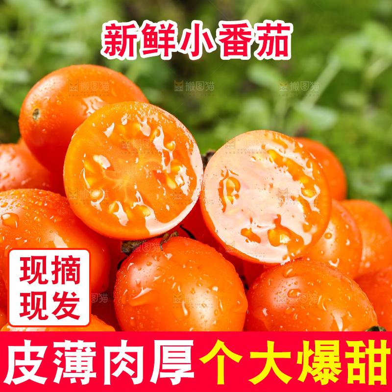 浅底上的小番茄