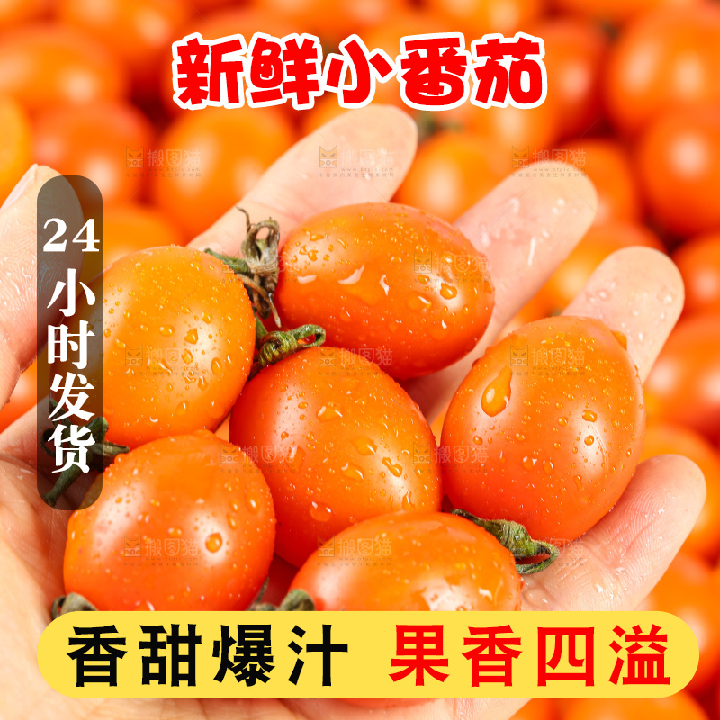 浅底上的小番茄