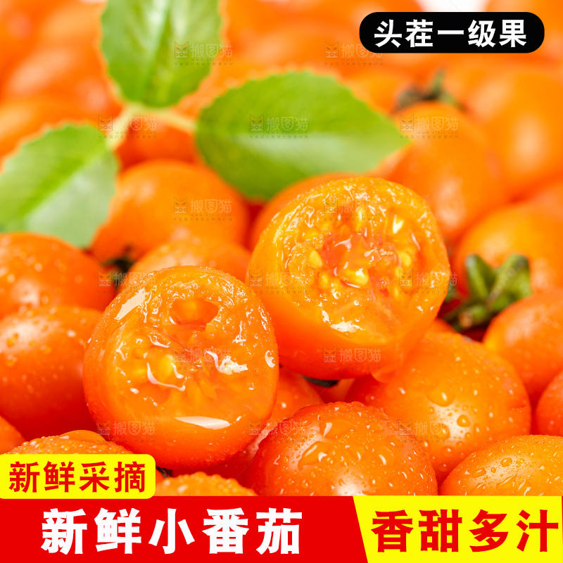 浅底上的小番茄