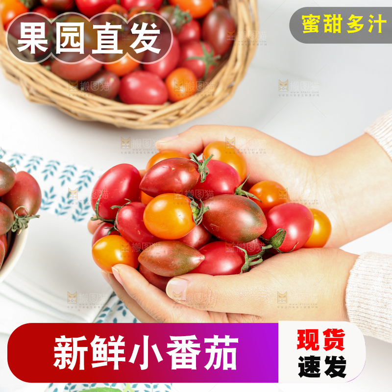 浅底上的小番茄