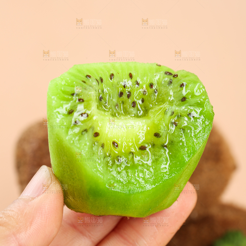浅底上的修文猕猴桃