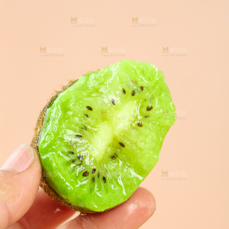 浅底上的修文猕猴桃