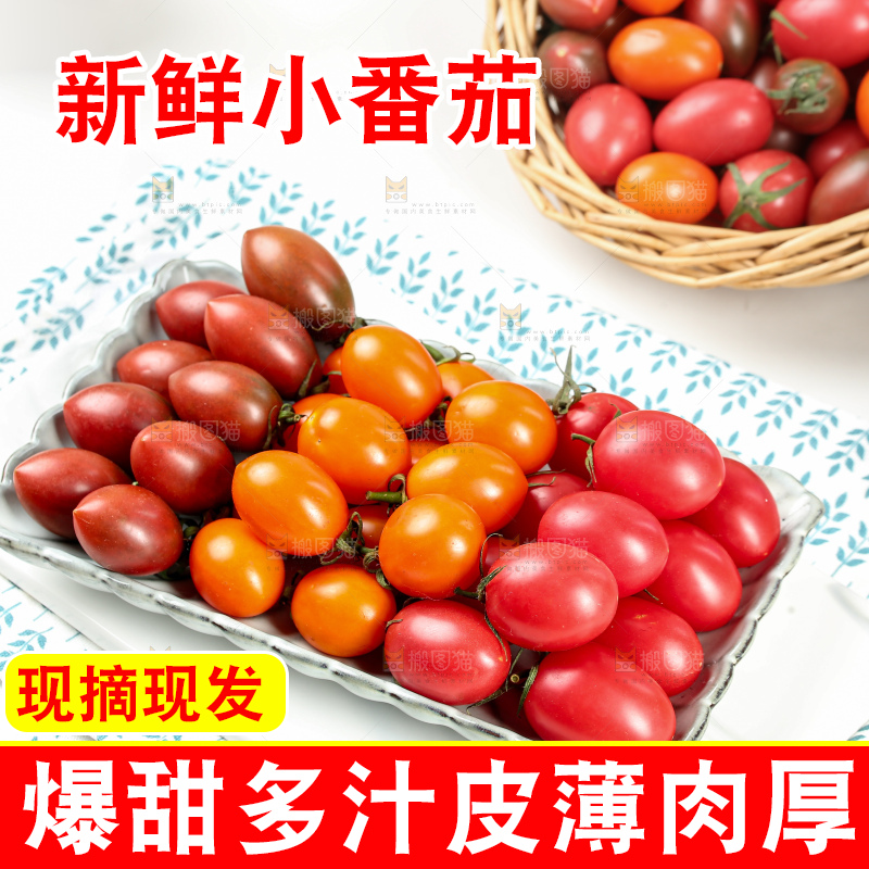 浅底上的小番茄