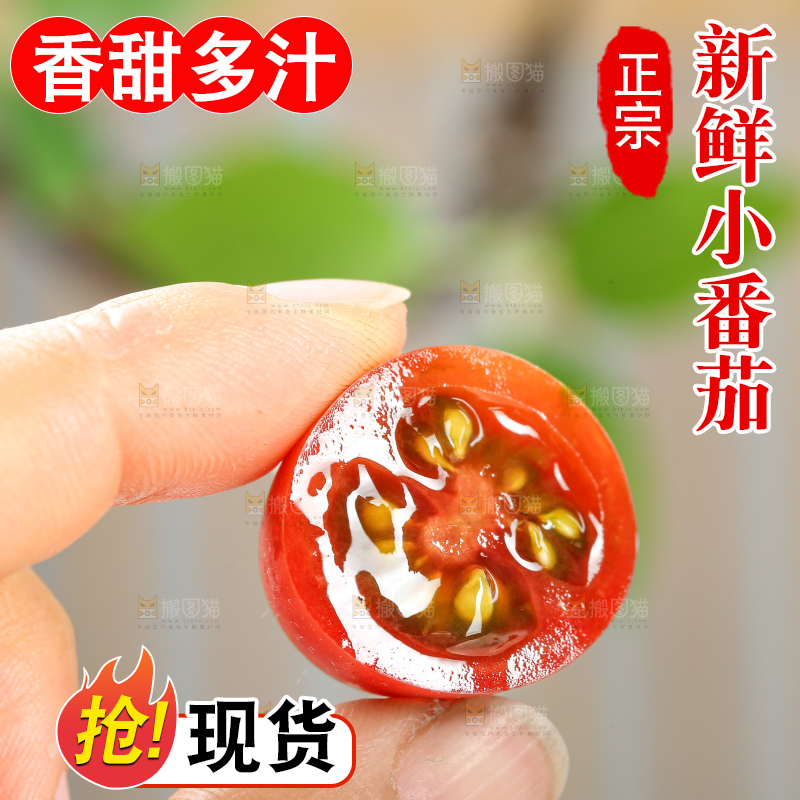 浅底上的小番茄