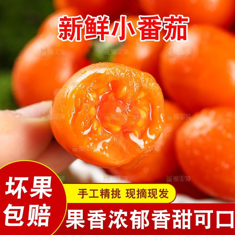 浅底上的小番茄