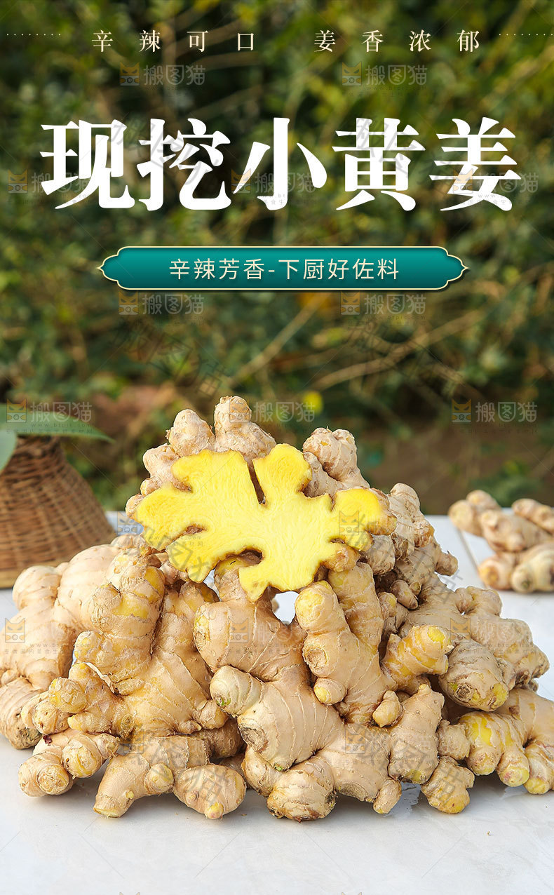 小黄姜详情页