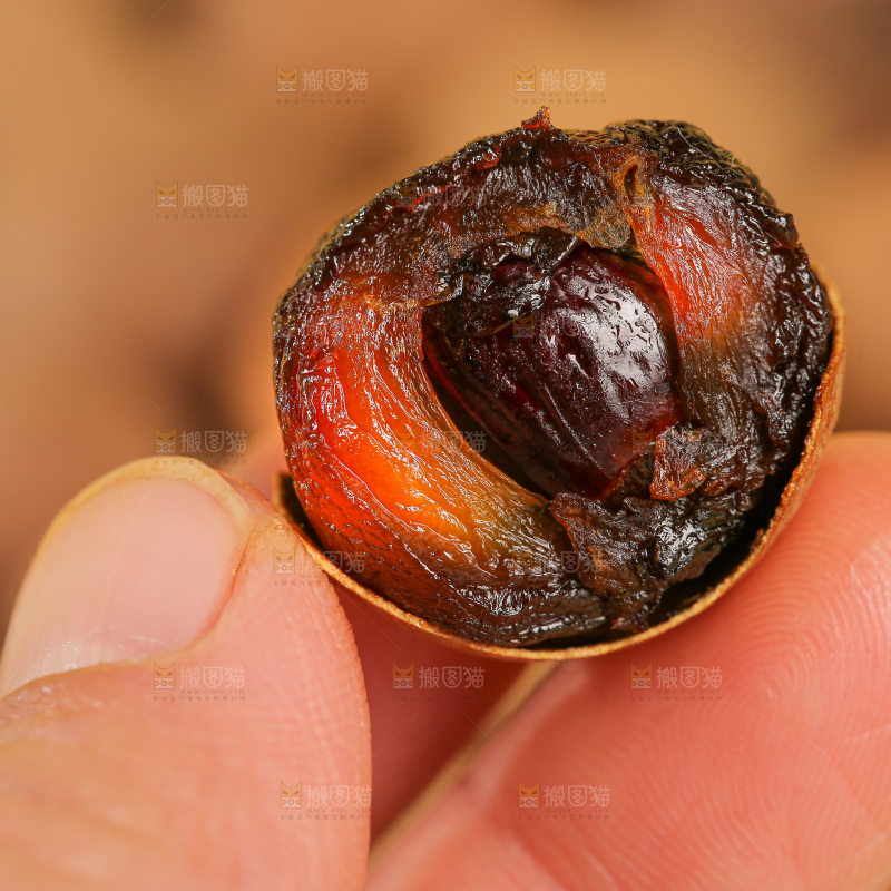 浅底上的桂圆干