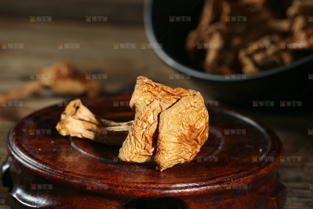 深底上的滑子菇