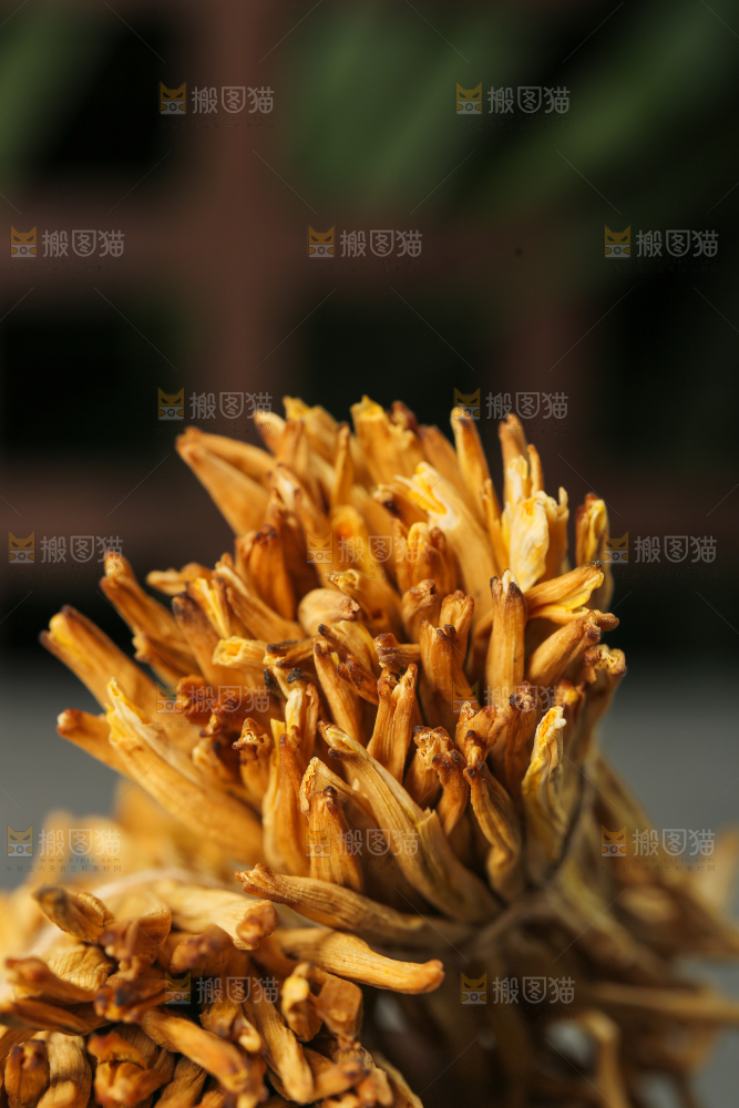 深底上的黄花菜