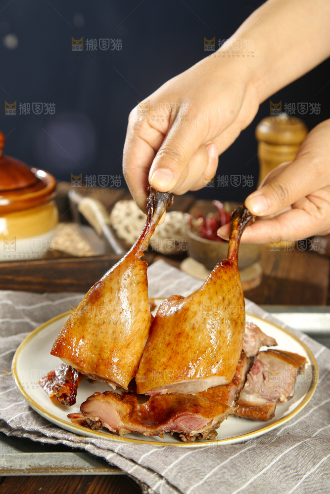 深底上的酱鹅