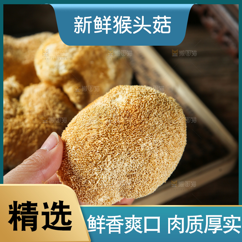 深底上的猴头菇