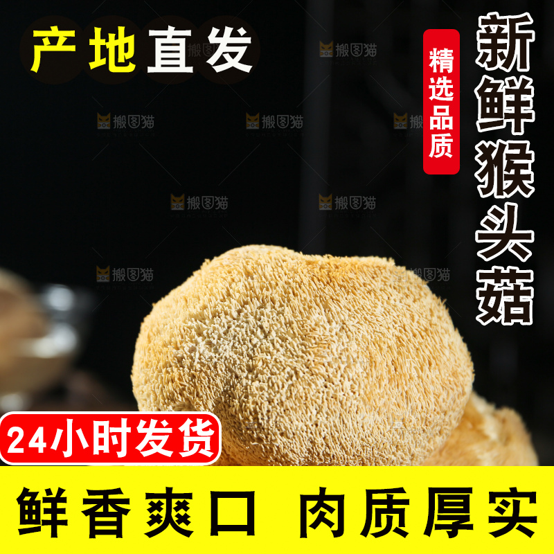 深底上的猴头菇