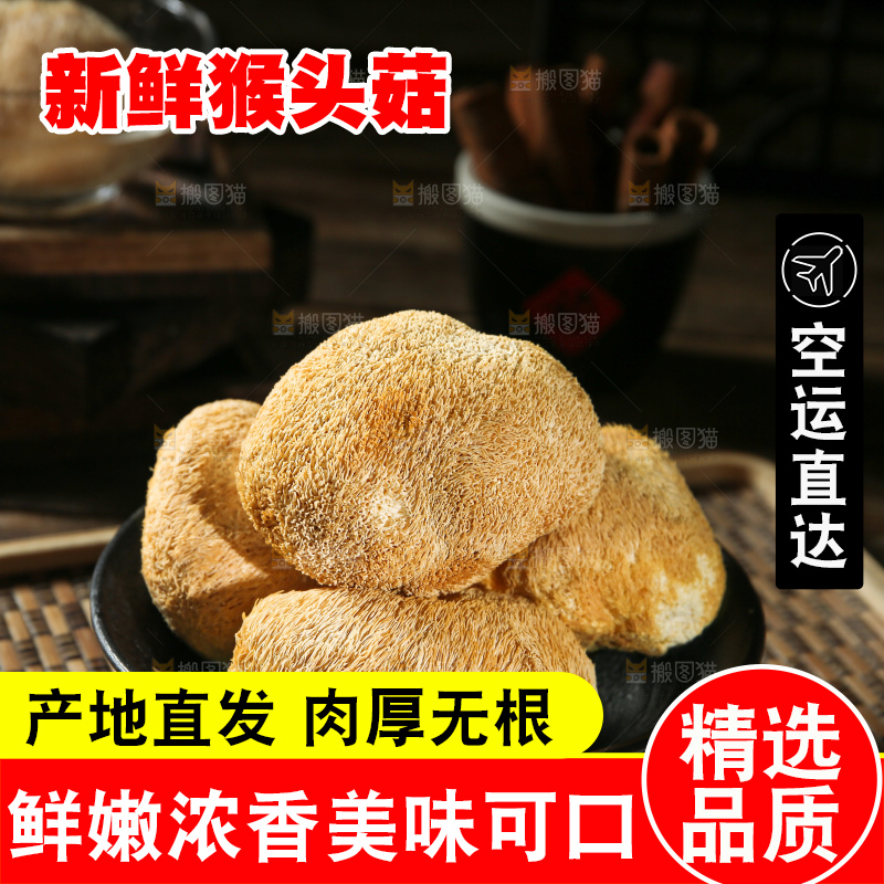 深底上的猴头菇