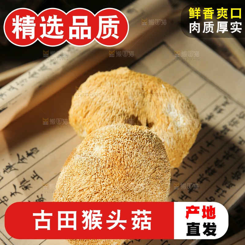 深底上的猴头菇