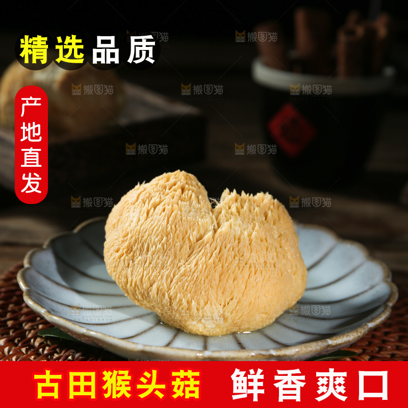 深底上的猴头菇