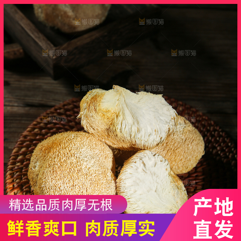 深底上的猴头菇