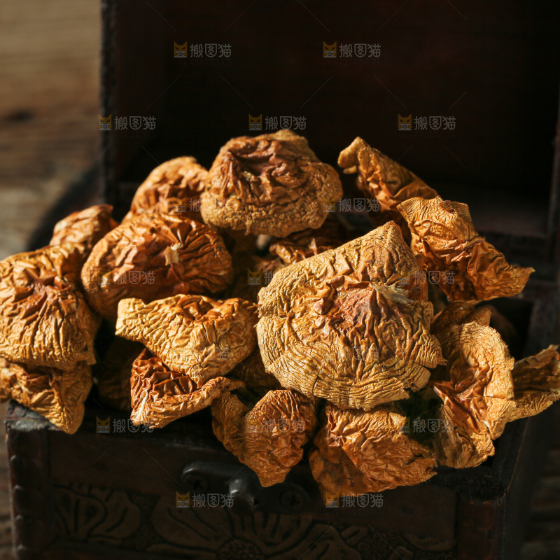 深底上的滑子菇