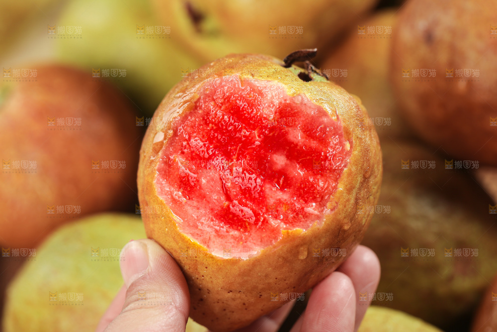 木底上的红心芭乐