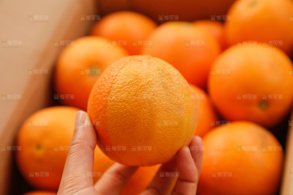 新鲜血橙