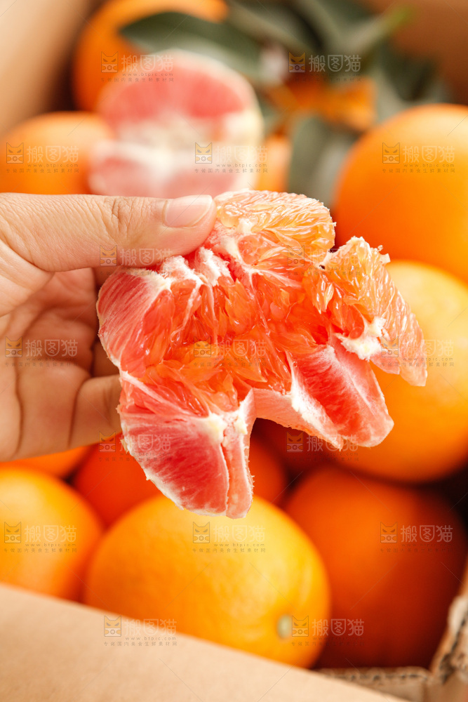 新鲜血橙