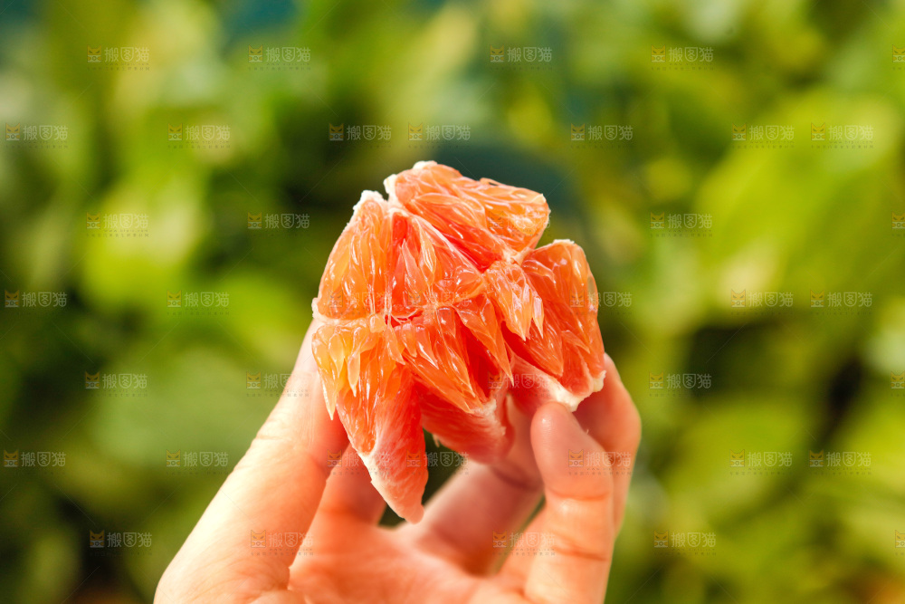 新鲜血橙