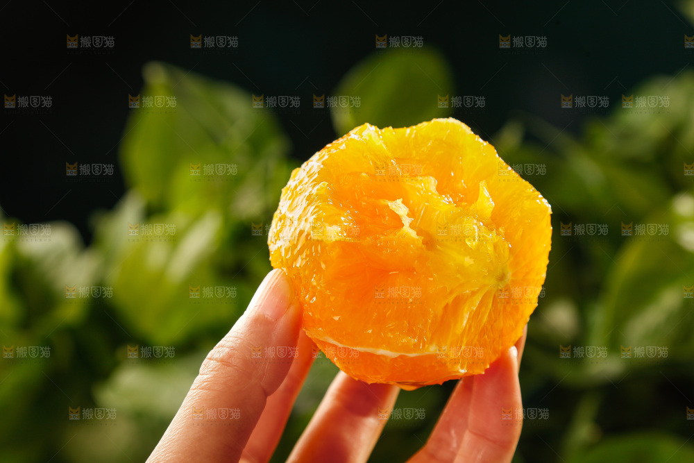 深底上的脐橙