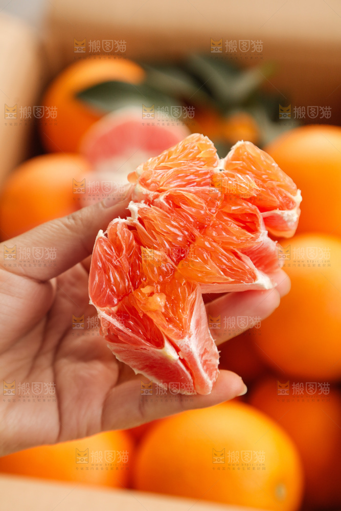 新鲜血橙