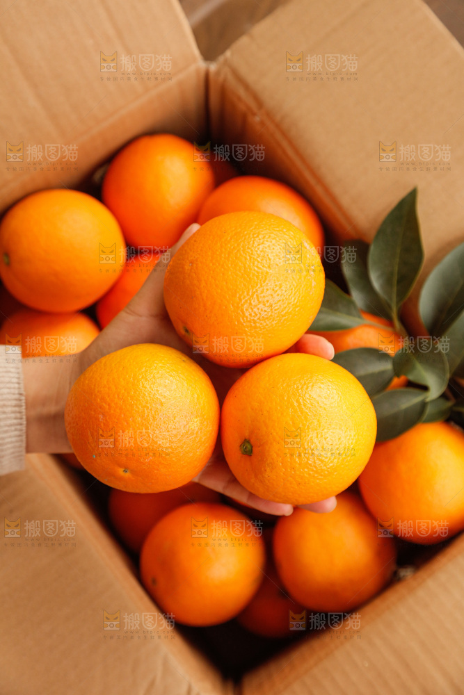 新鲜血橙