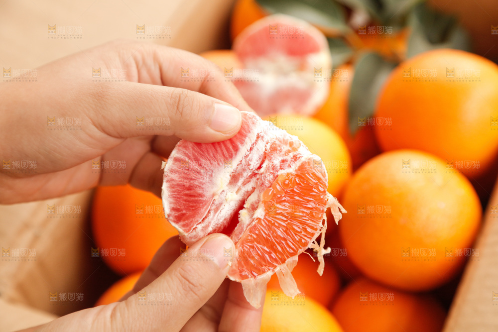 新鲜血橙