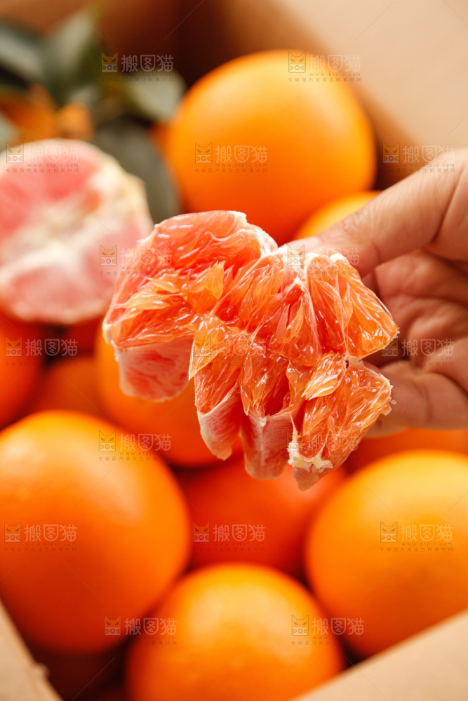新鲜血橙