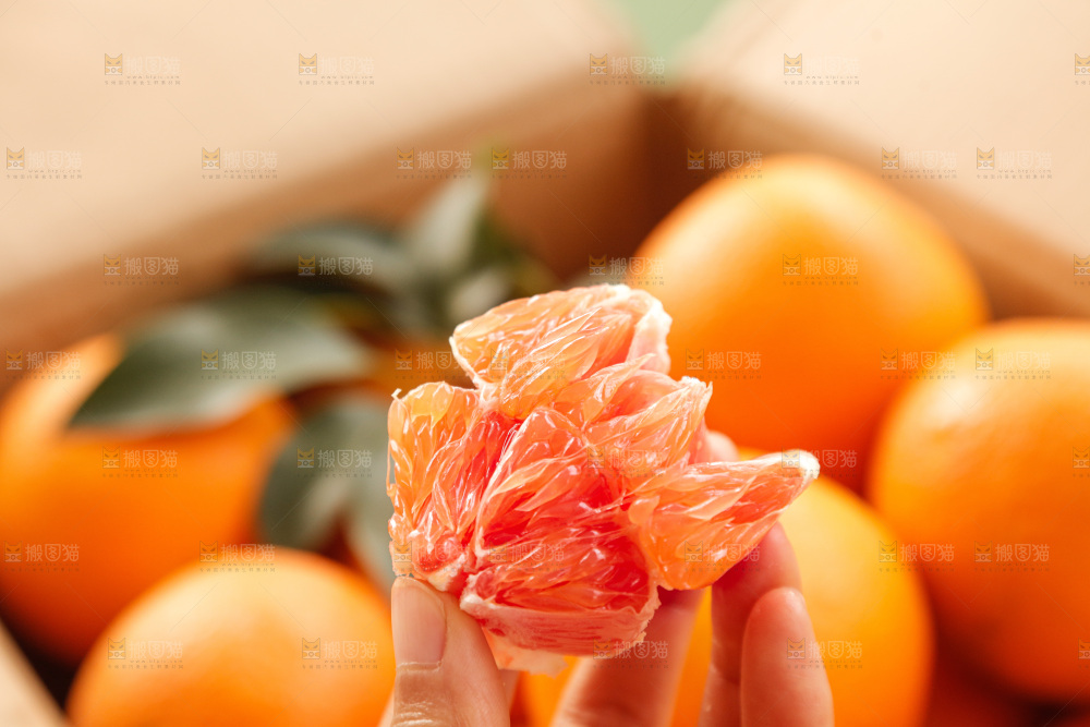 新鲜血橙