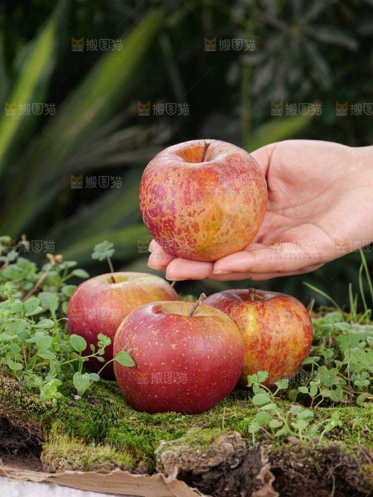 深底上的丑苹果