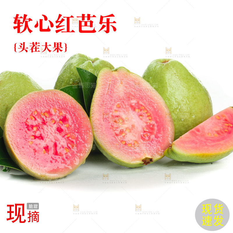 白底上的红心芭乐