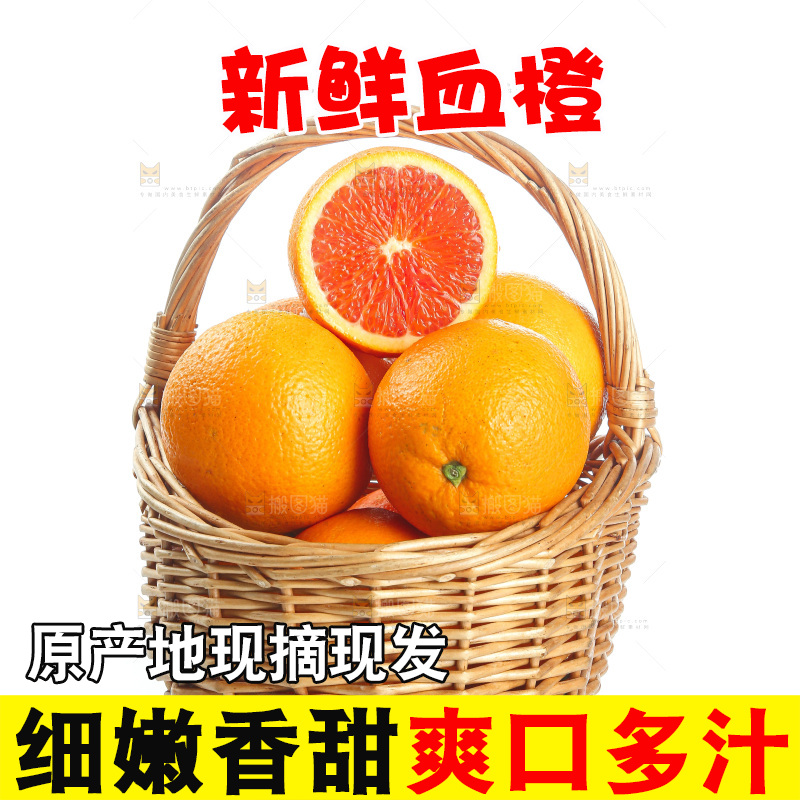 白底上的血橙