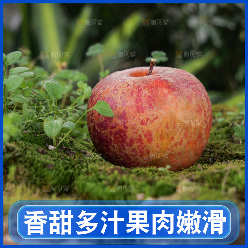 深底上的丑苹果