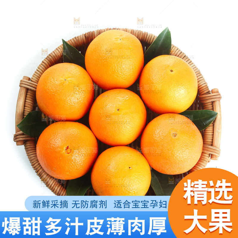 白底上的血橙