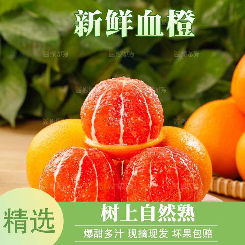 浅底上的血橙