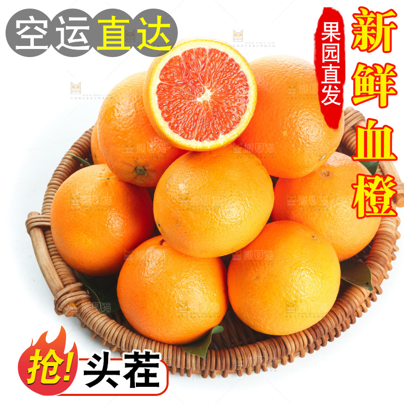 白底上的血橙