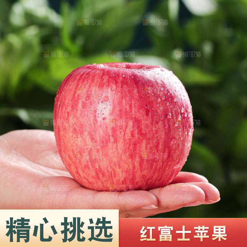 浅底上的红富士苹果