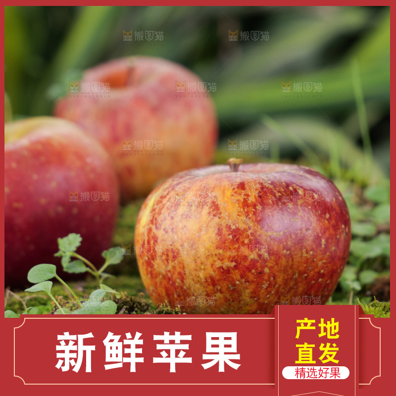 深底上的丑苹果