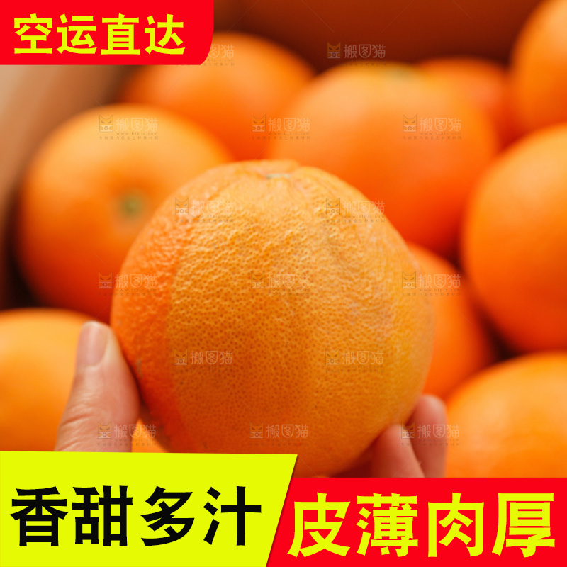 新鲜血橙