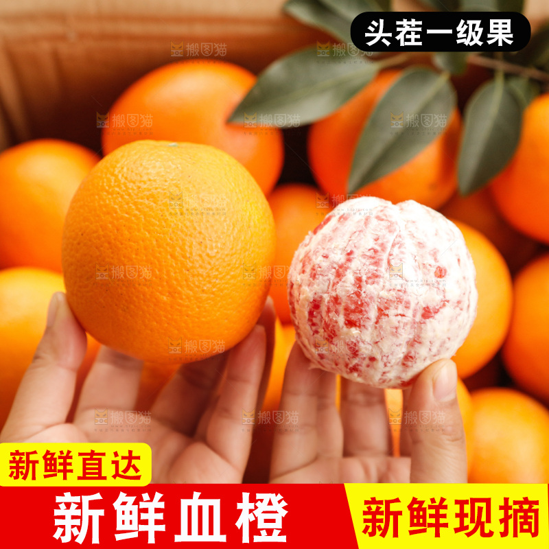 新鲜血橙