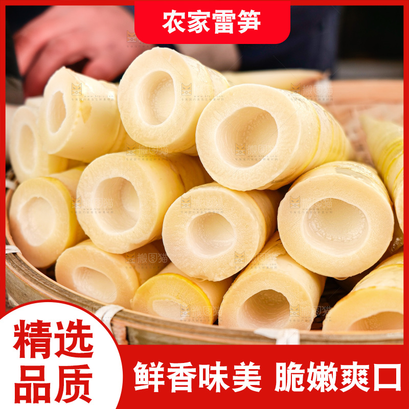 深底上的雷笋