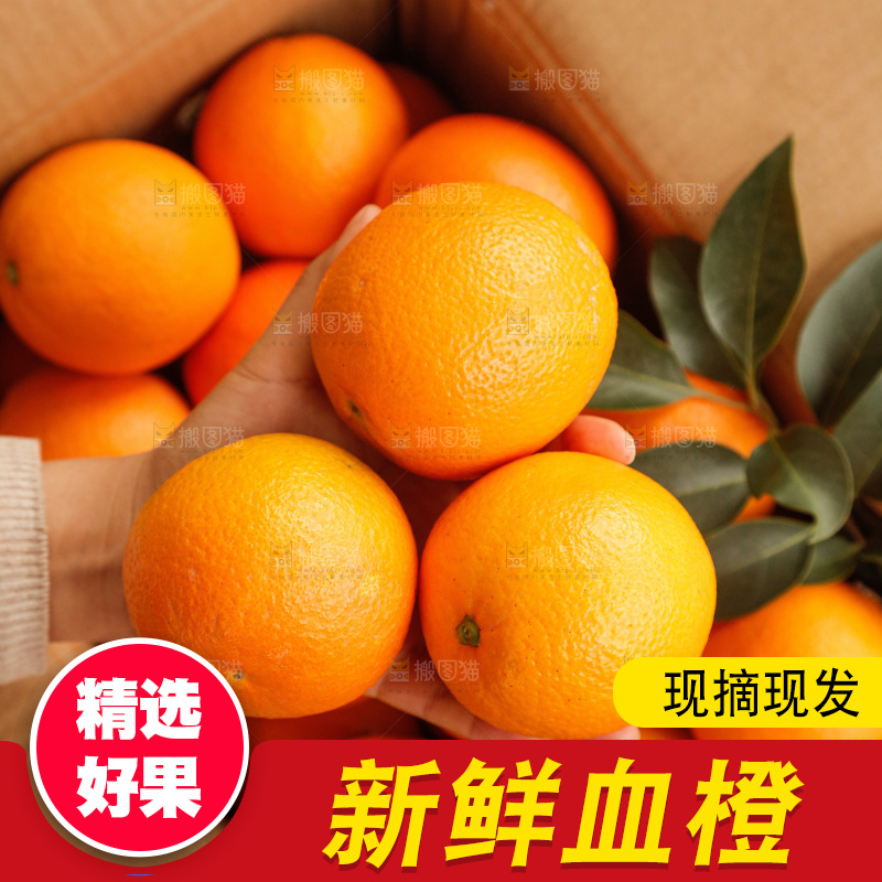 新鲜血橙