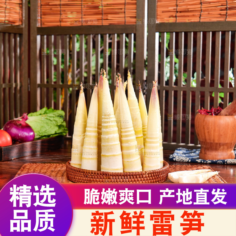 深底上的雷笋