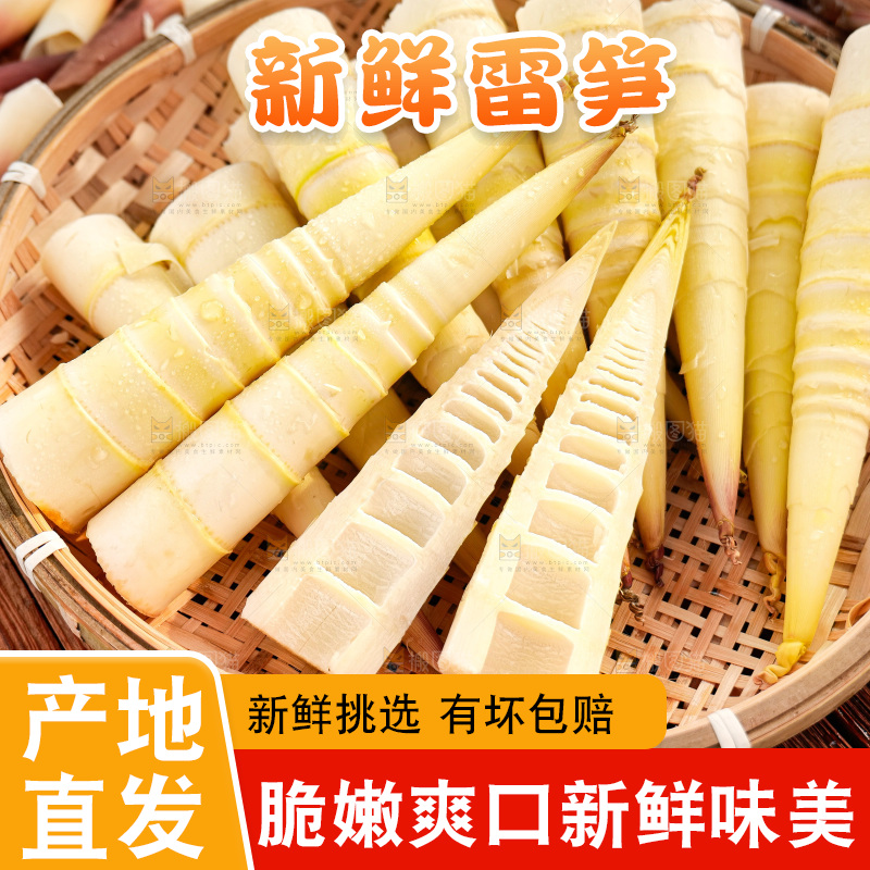 深底上的雷笋